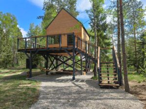 dom na słupach w lesie, pod nim strefa chill z hamakami